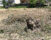 Cantierizzazione River Hous Castel di Sangro AQ